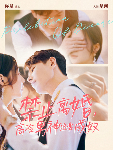 《禁止离婚，高冷男神追妻成奴》完整版在线观看