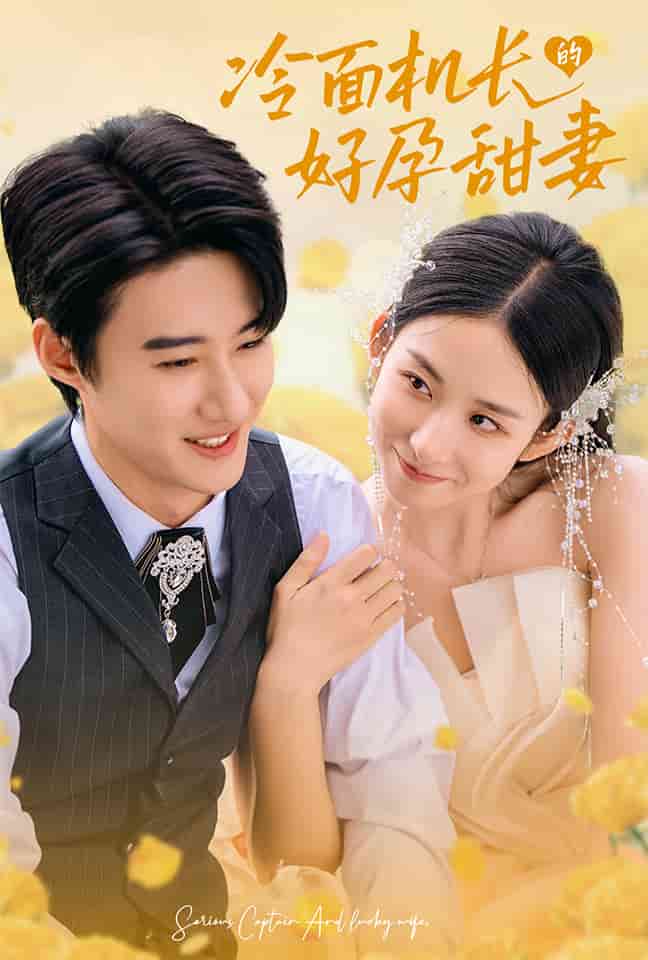 《冷面机长的好孕甜妻》完整版在线观看