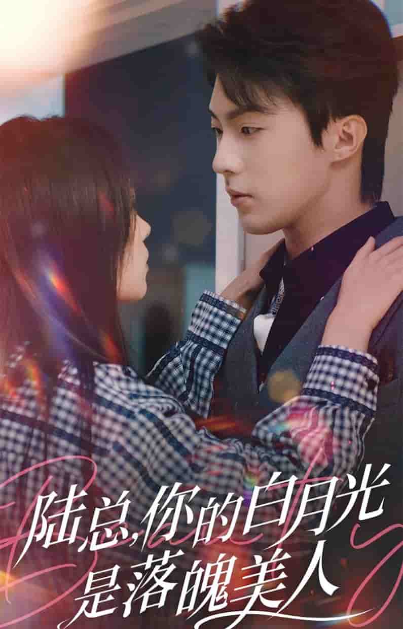 《陆总你的白月光是落魄美人》完整版在线观看