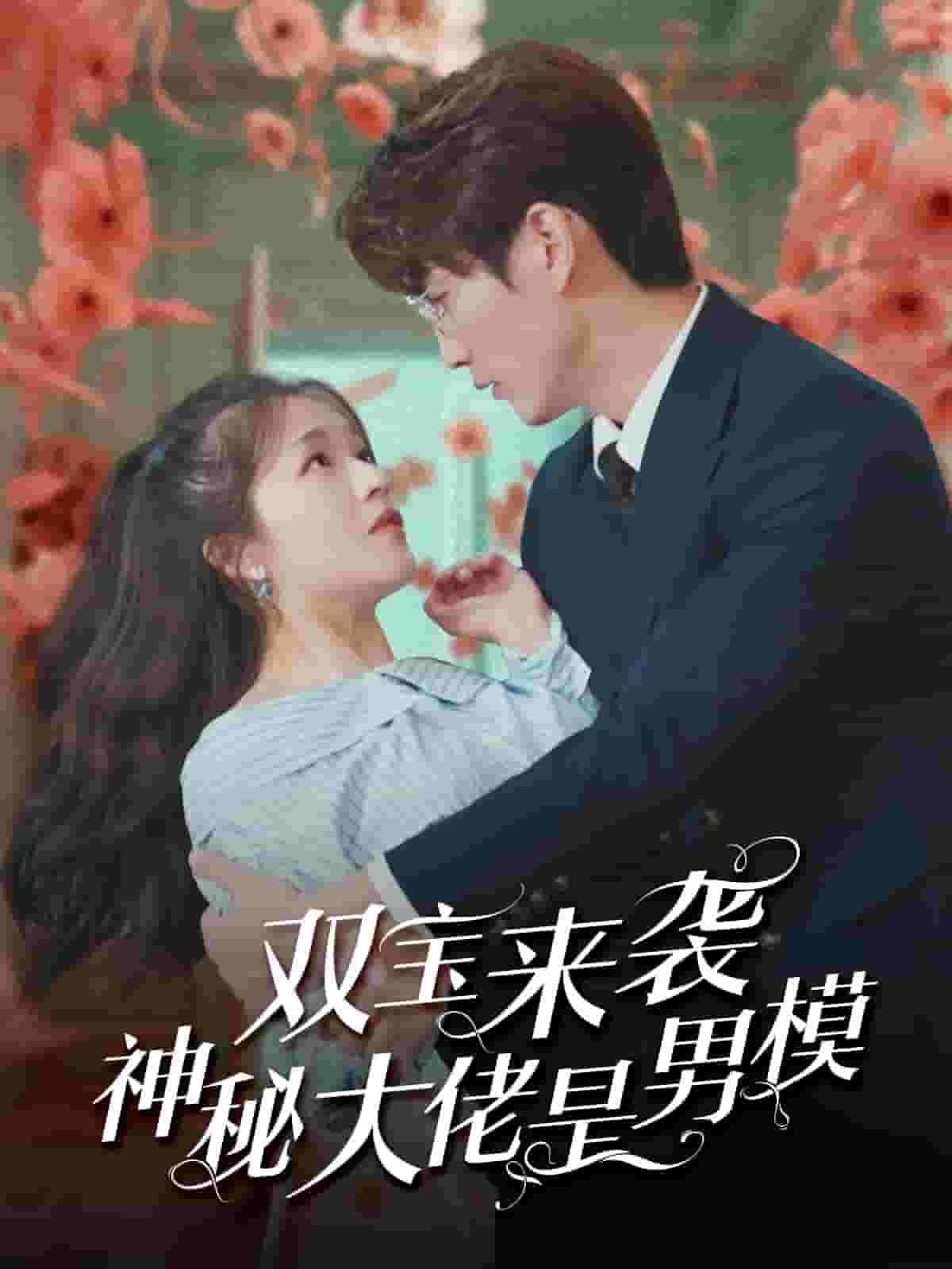 《双宝来袭神秘大佬是男模》完整版在线观看