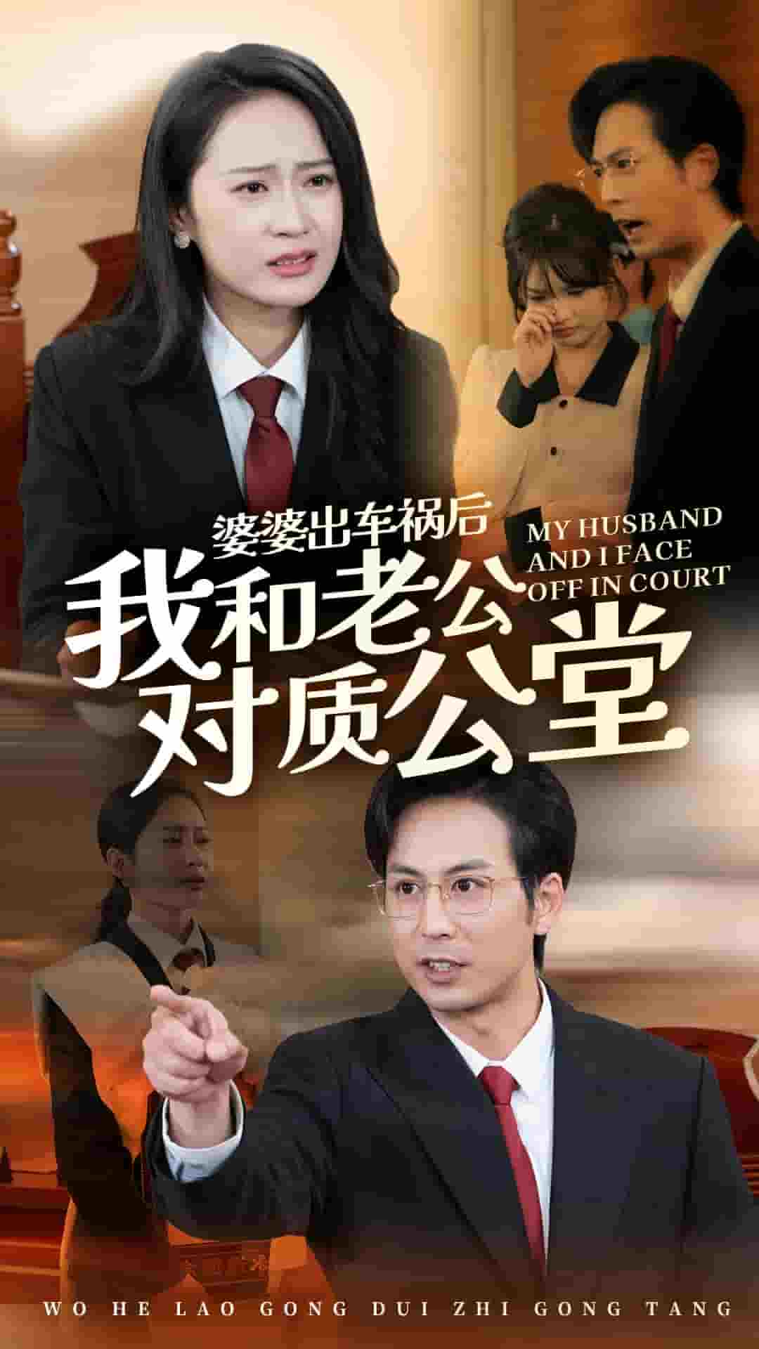 《婆婆出车祸后我和老公对质公堂》完整版在线观看