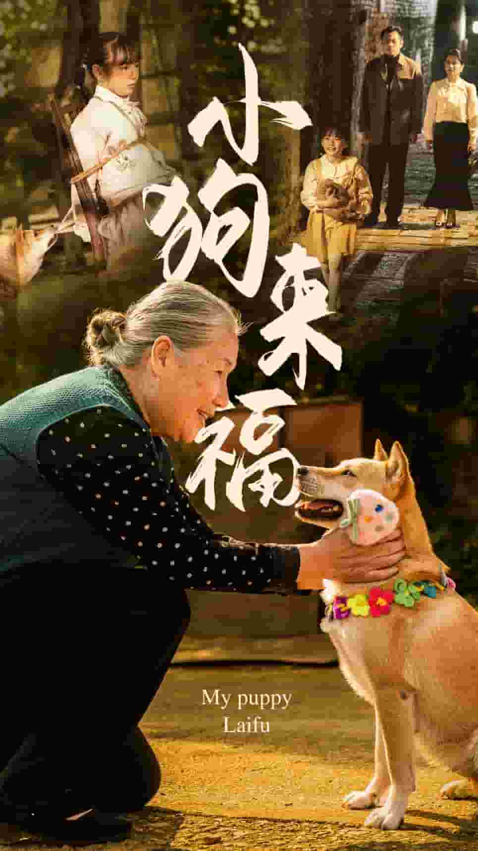 《小狗来福》完整版在线观看