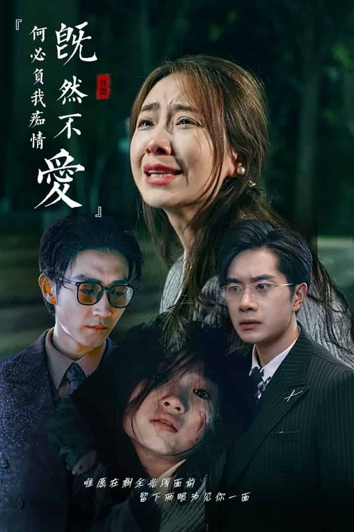 《既然不爱何必负我痴情》完整版在线观看