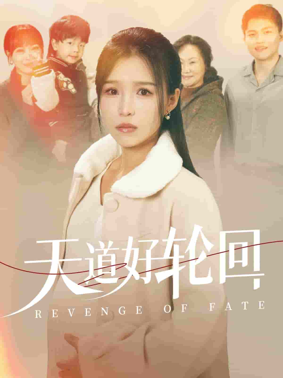 《天道好轮回》完整版在线观看