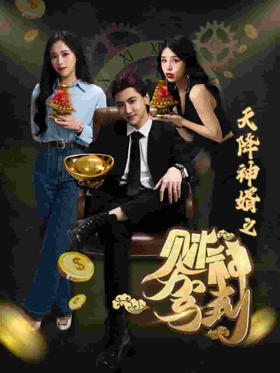 《天降神婿之财神驾到》完整版在线观看