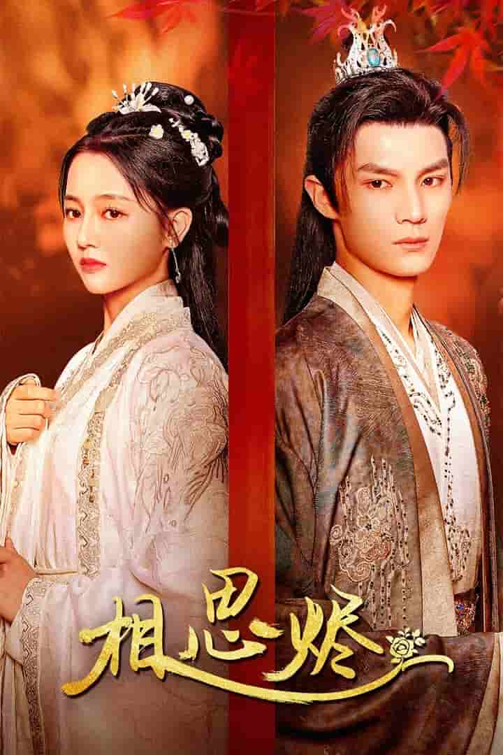 《相思烬》完整版在线观看