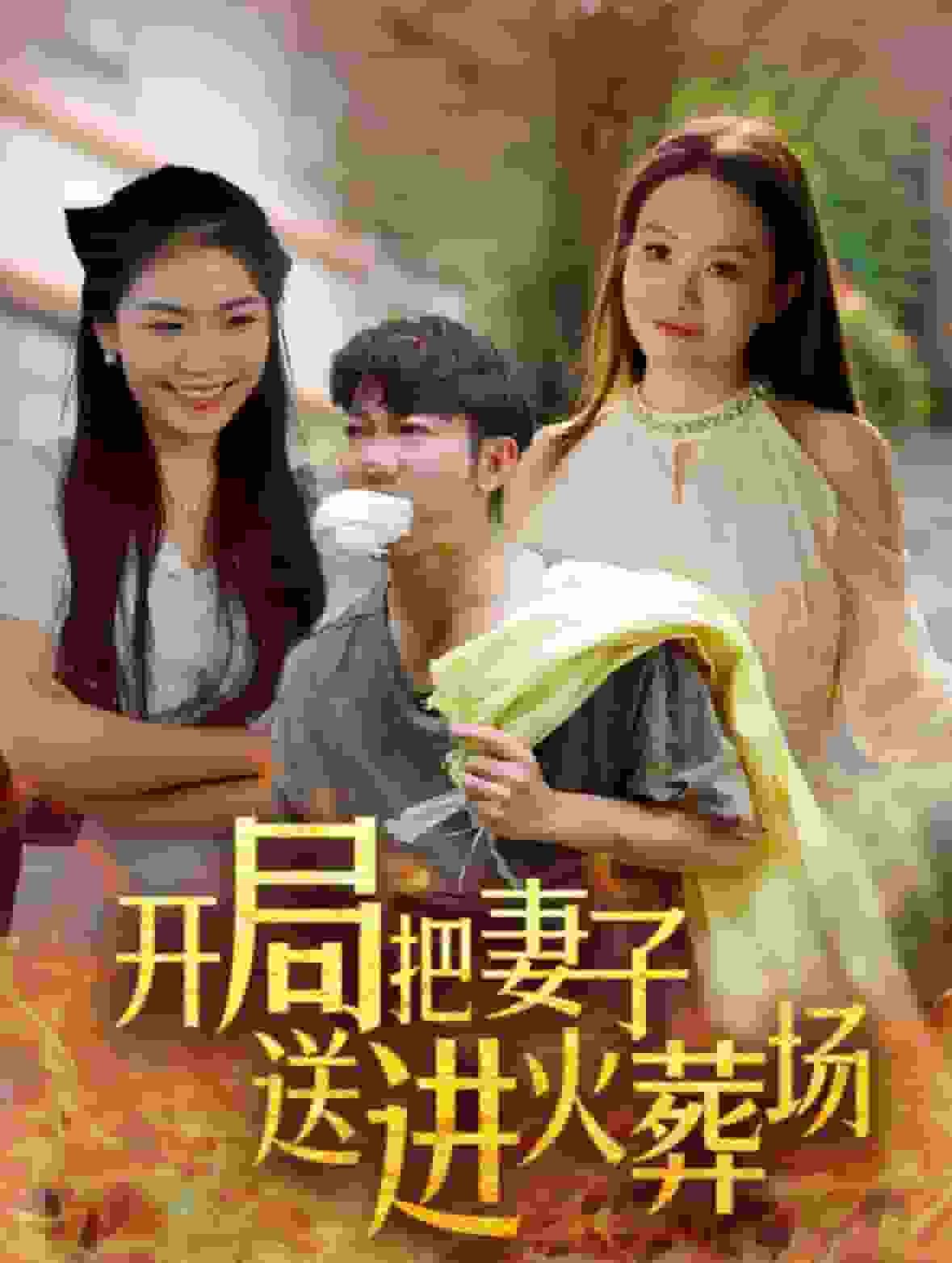 《开局把妻子送进火葬场》完整版在线观看