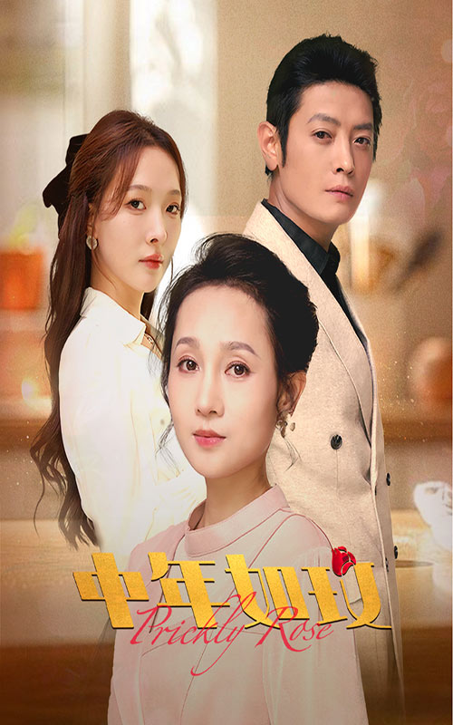 《中年如玫》完整版在线观看