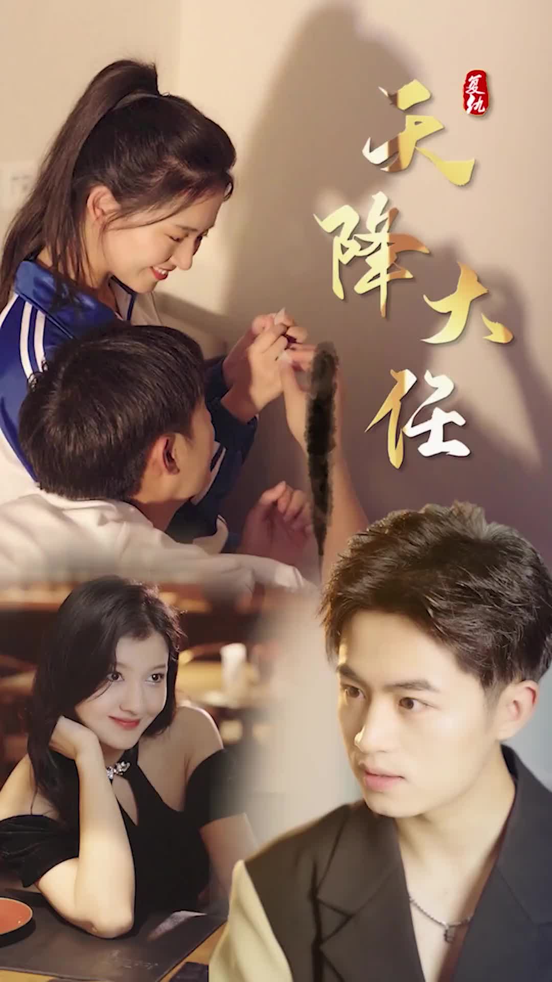 《复仇天降大任》完整版在线观看