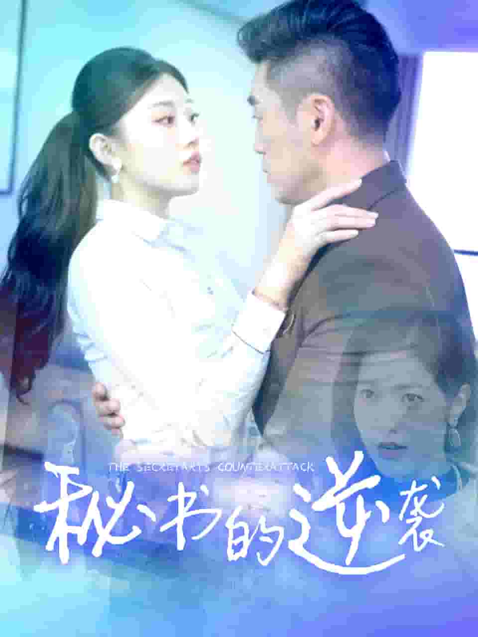 《秘书的逆袭》完整版在线观看