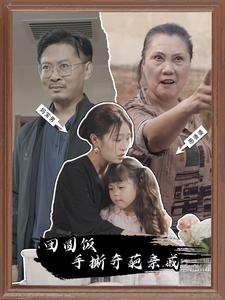 《团圆饭手撕奇葩亲戚》完整版在线观看