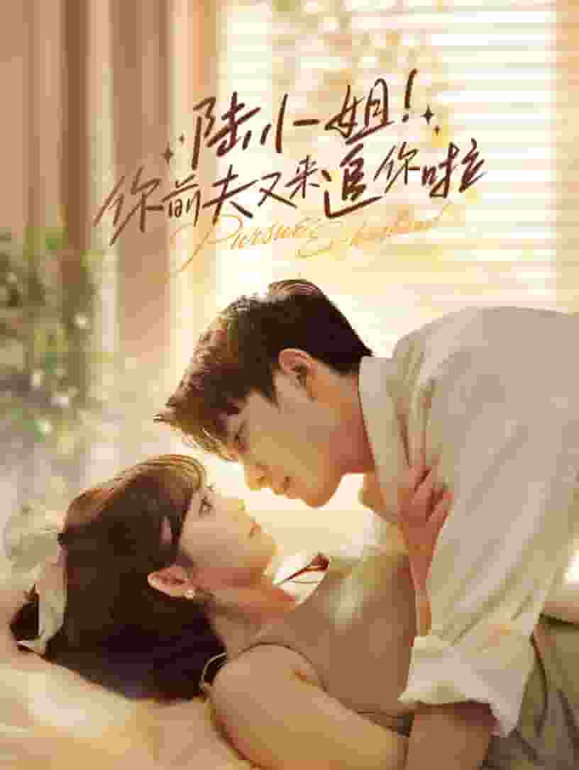 《陆小姐！你前夫又来追你啦》完整版在线观看