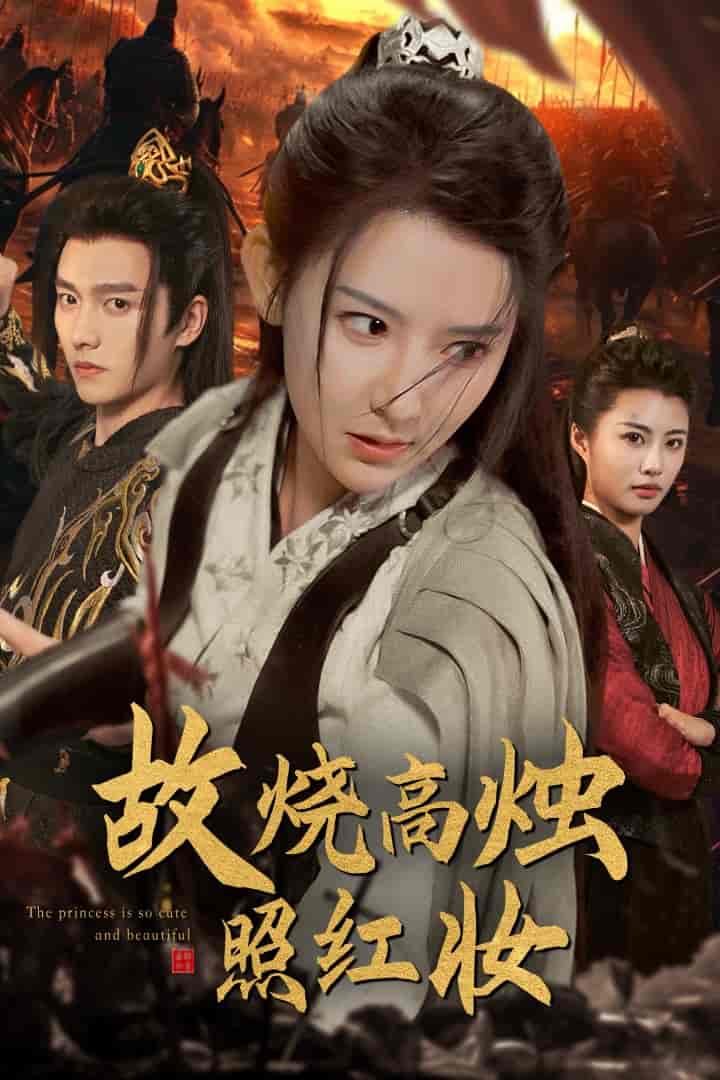 《故烧高烛照红妆》完整版在线观看