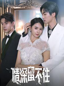 《情深留不住》完整版在线观看