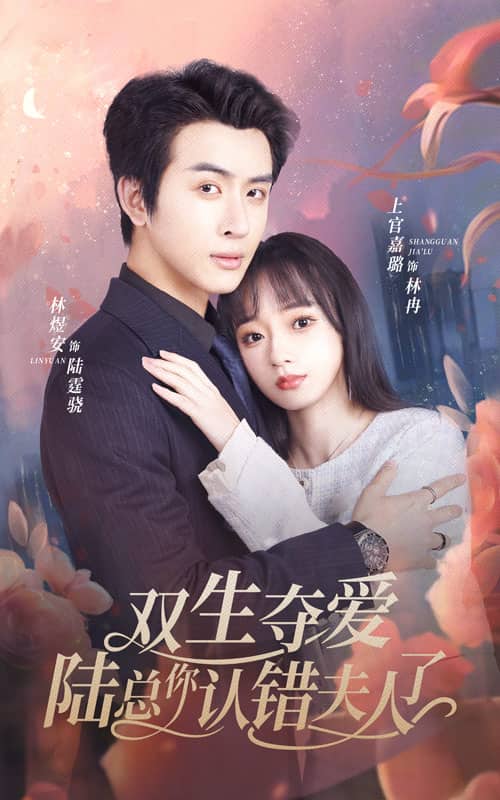 《双生夺爱陆总你认错夫人了》完整版在线观看