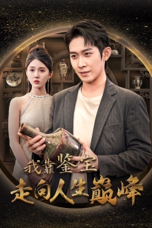 《我靠鉴宝走向人生巅峰》完整版在线观看