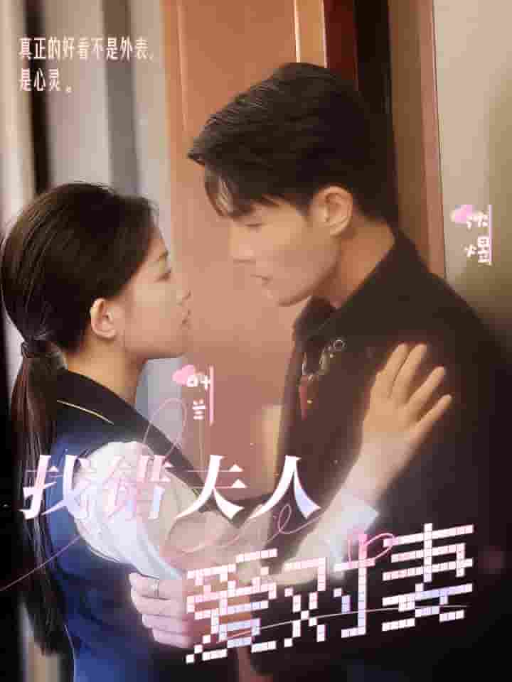 《找错夫人爱对妻》完整版在线观看