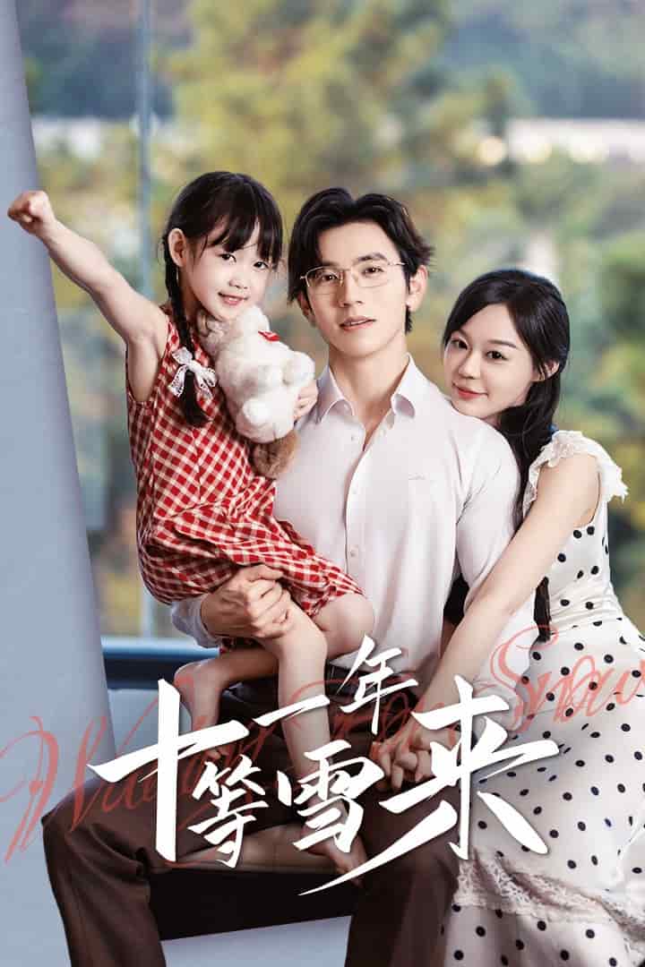 《十一年等雪来》完整版在线观看