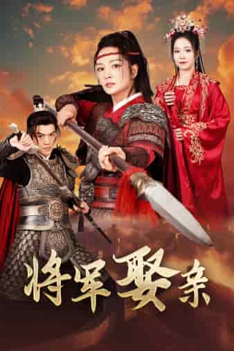 《将军娶亲》完整版在线观看