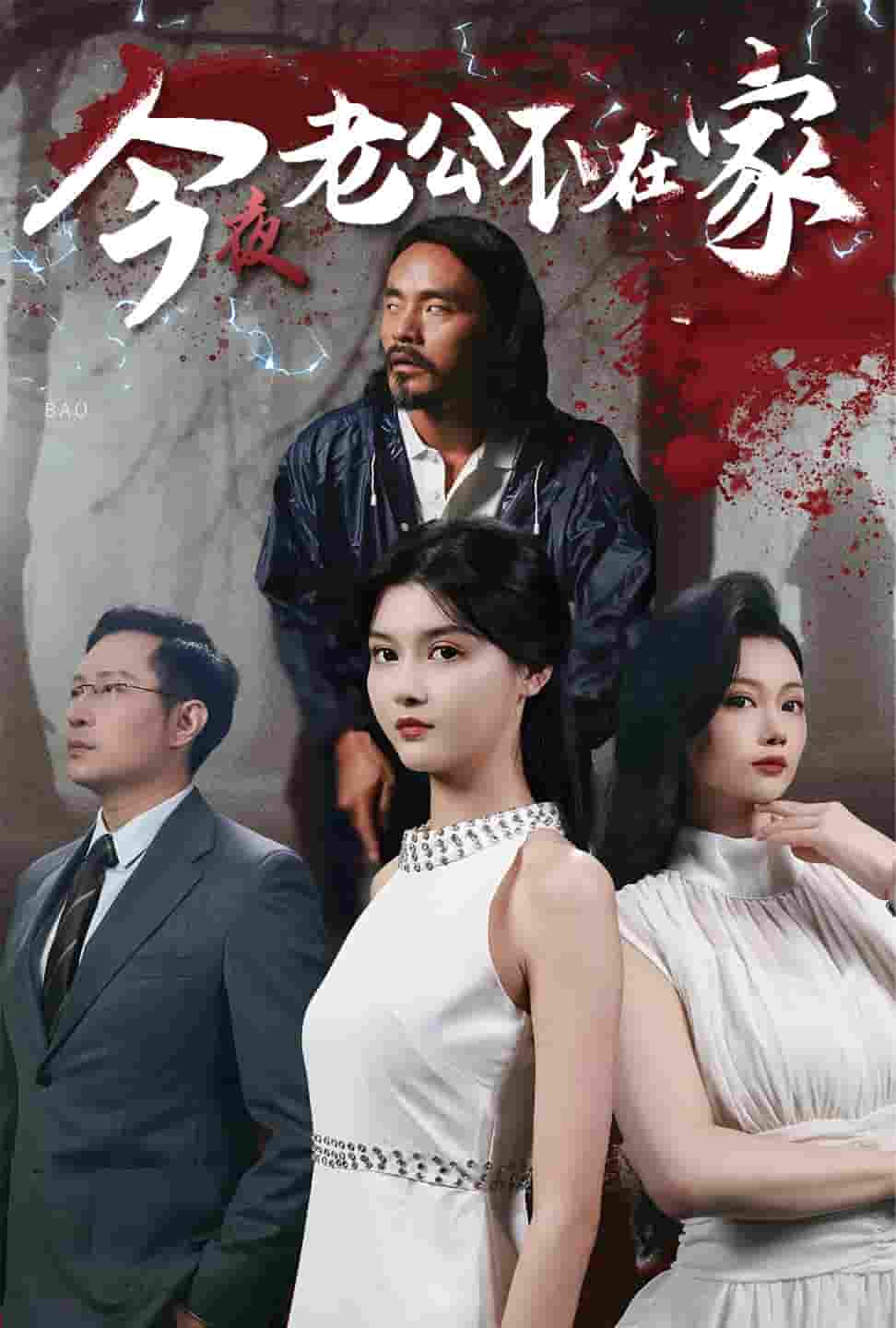 《今夜老公不在家》完整版在线观看