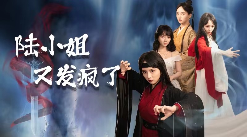 《陆小姐又发疯了》完整版在线观看