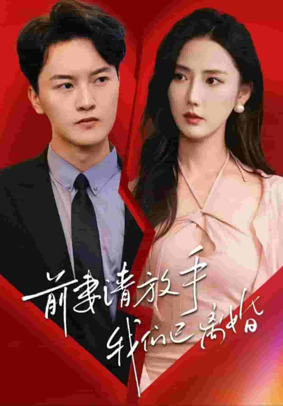 《前妻请放手，我们已离婚》完整版在线观看