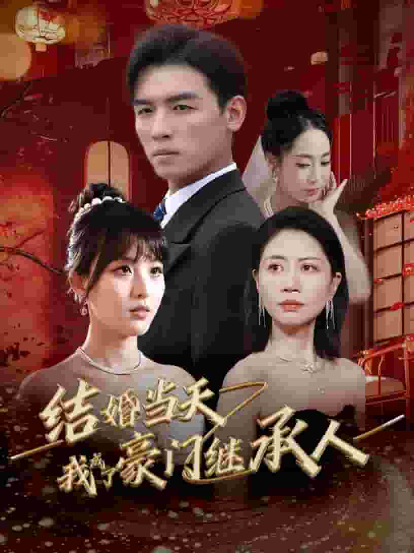 《结婚当天我成了豪门继承人》完整版在线观看