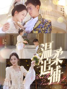 《温柔追捕》完整版在线观看