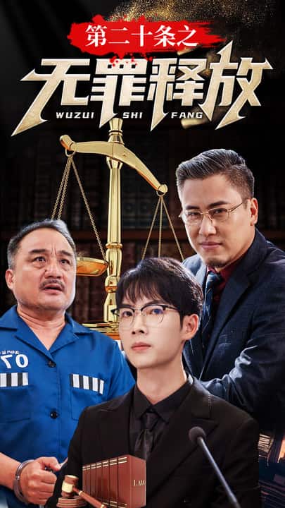 《第二十条之无罪释放》完整版在线观看