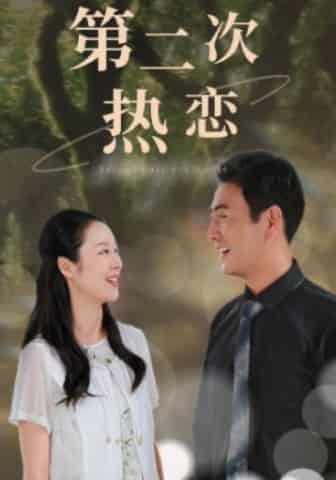 《第二次热恋》完整版在线观看