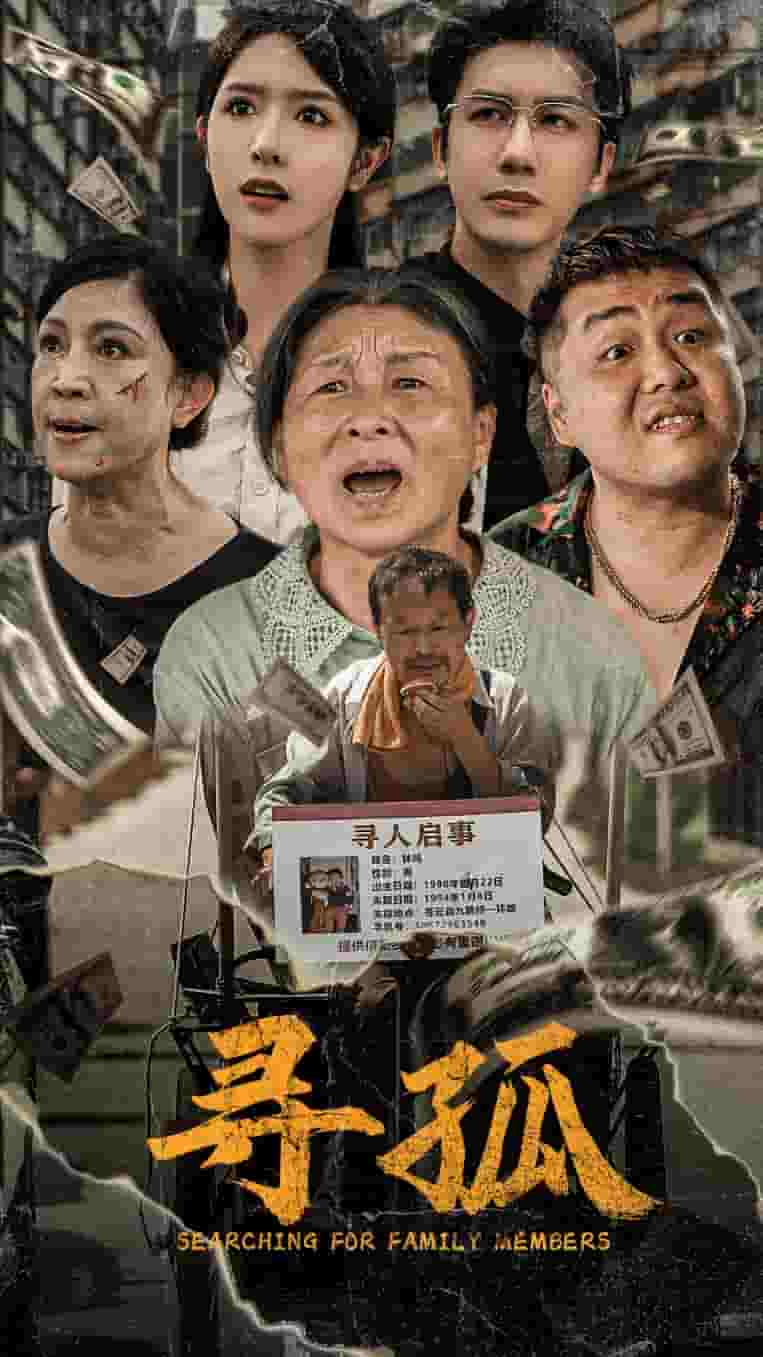 《寻孤》完整版在线观看