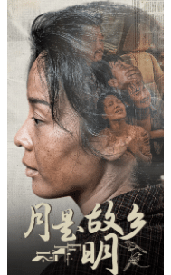 《月是故乡明短剧》完整版在线观看