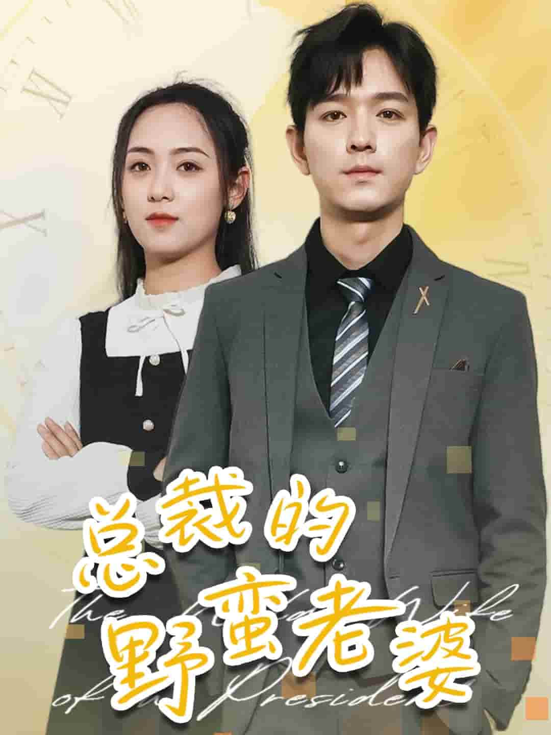 《总裁的野蛮老婆》完整版在线观看