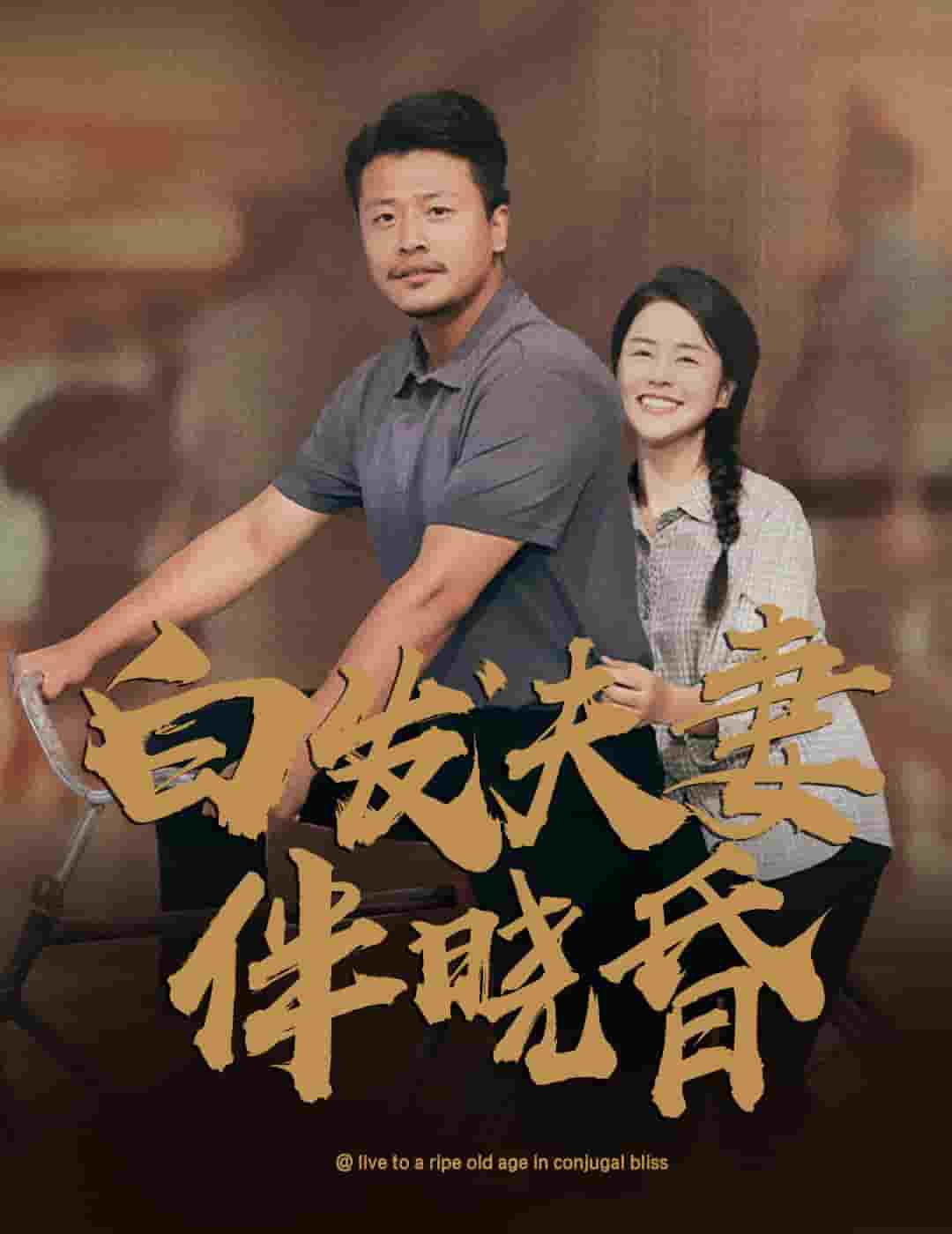《白发夫妻傍晓昏》完整版在线观看
