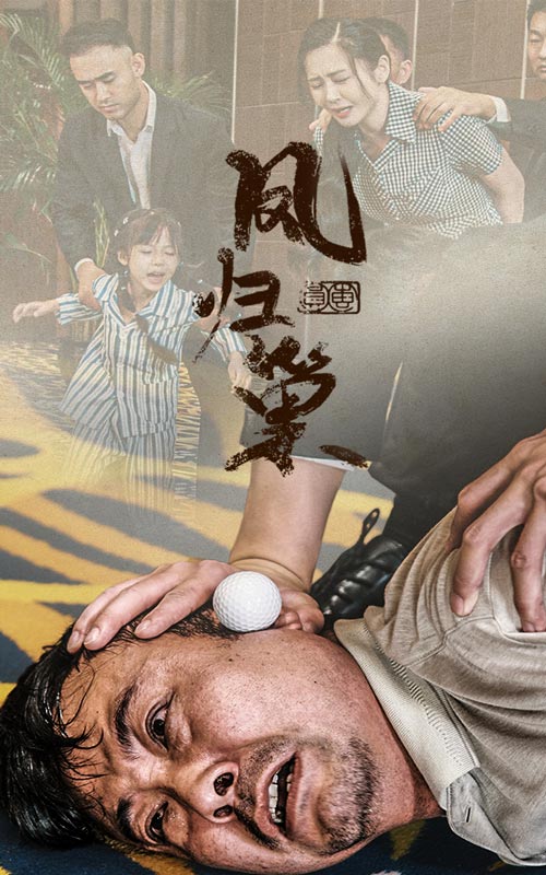 《新版:凤归巢》完整版在线观看