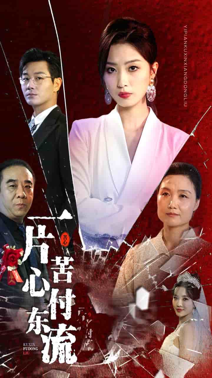 《一片苦心付东流》完整版在线观看