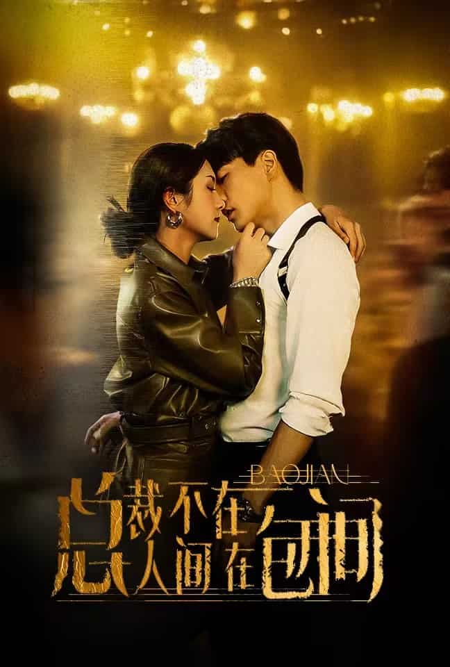 《总裁不在人间在包间》完整版在线观看