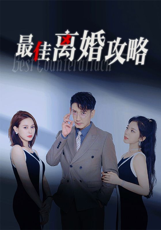 《最佳离婚攻略》完整版在线观看