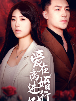 《爱在离婚进行时》完整版在线观看