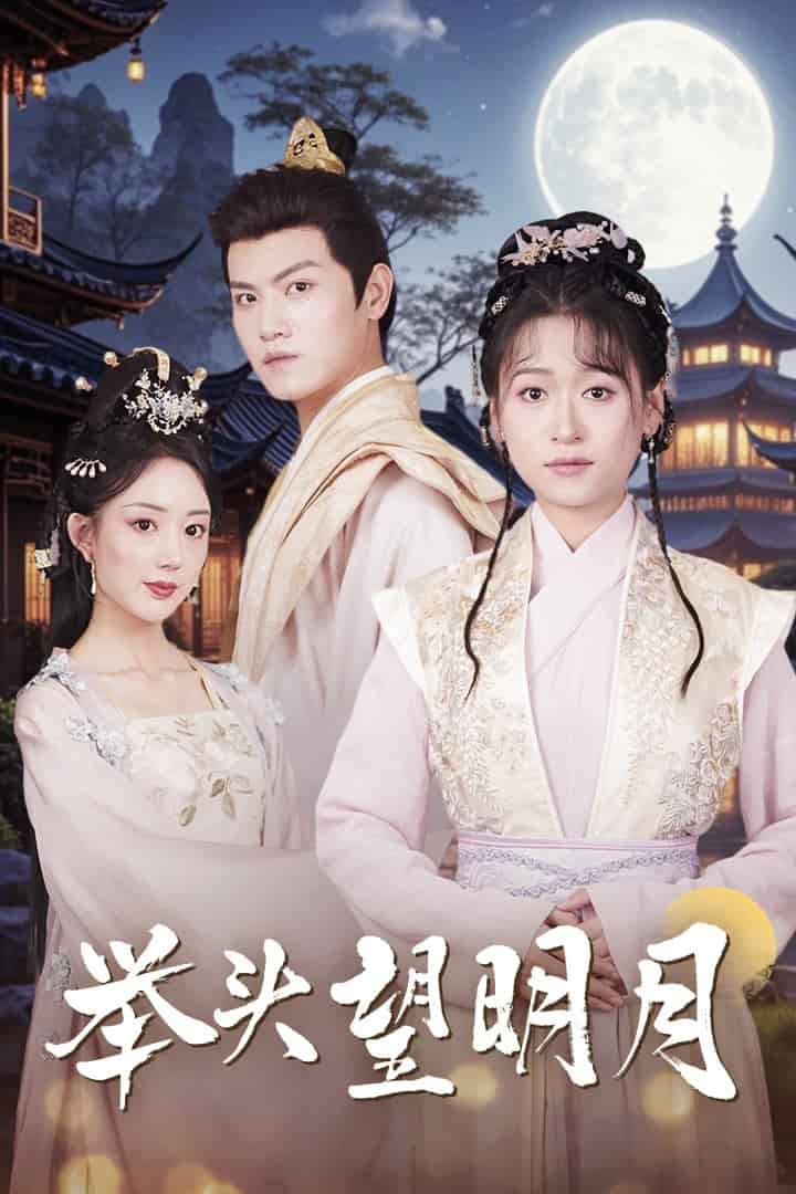 《举头望明月》完整版在线观看