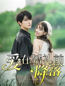 《爱在婚礼前降落》完整版在线观看