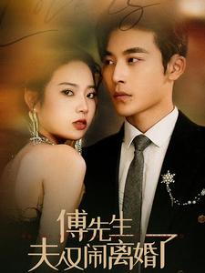 《傅先生夫人又闹离婚了》完整版在线观看