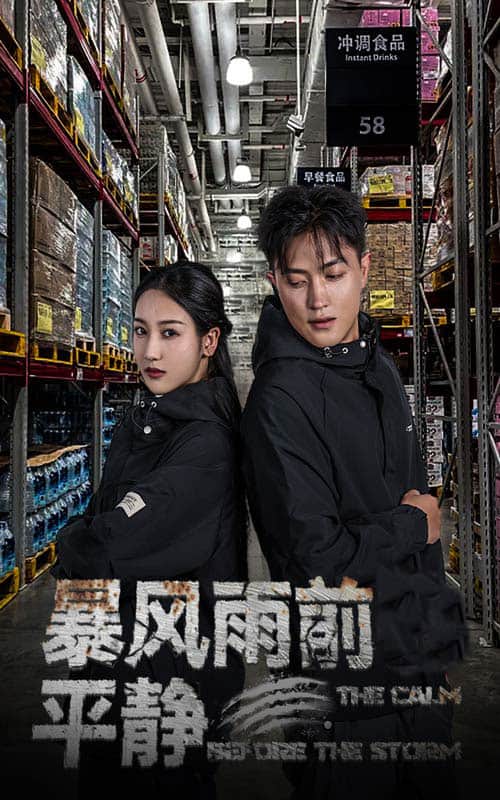 《暴风雨前的平静》完整版在线观看