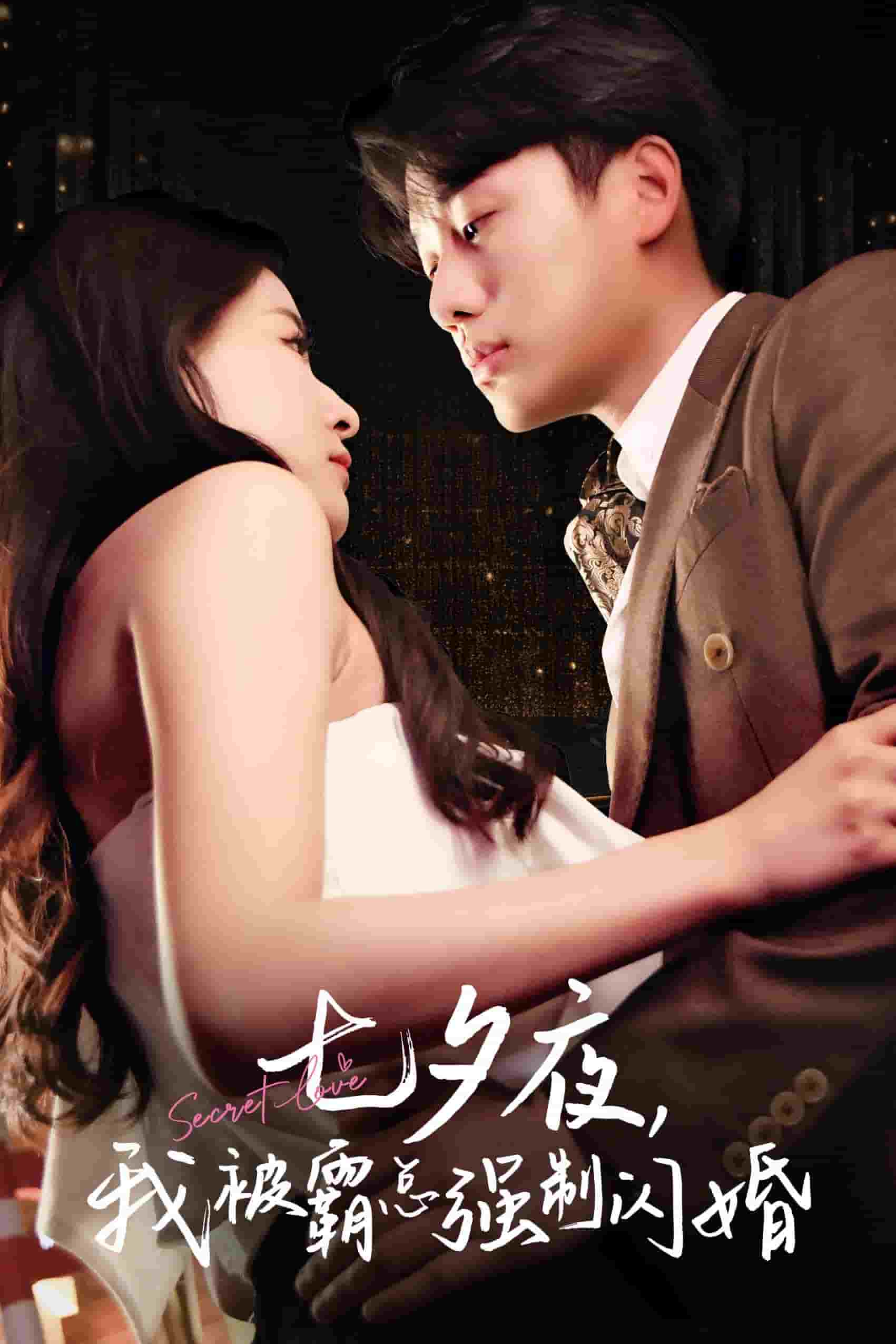 《七夕夜我被霸总强制闪婚》完整版在线观看