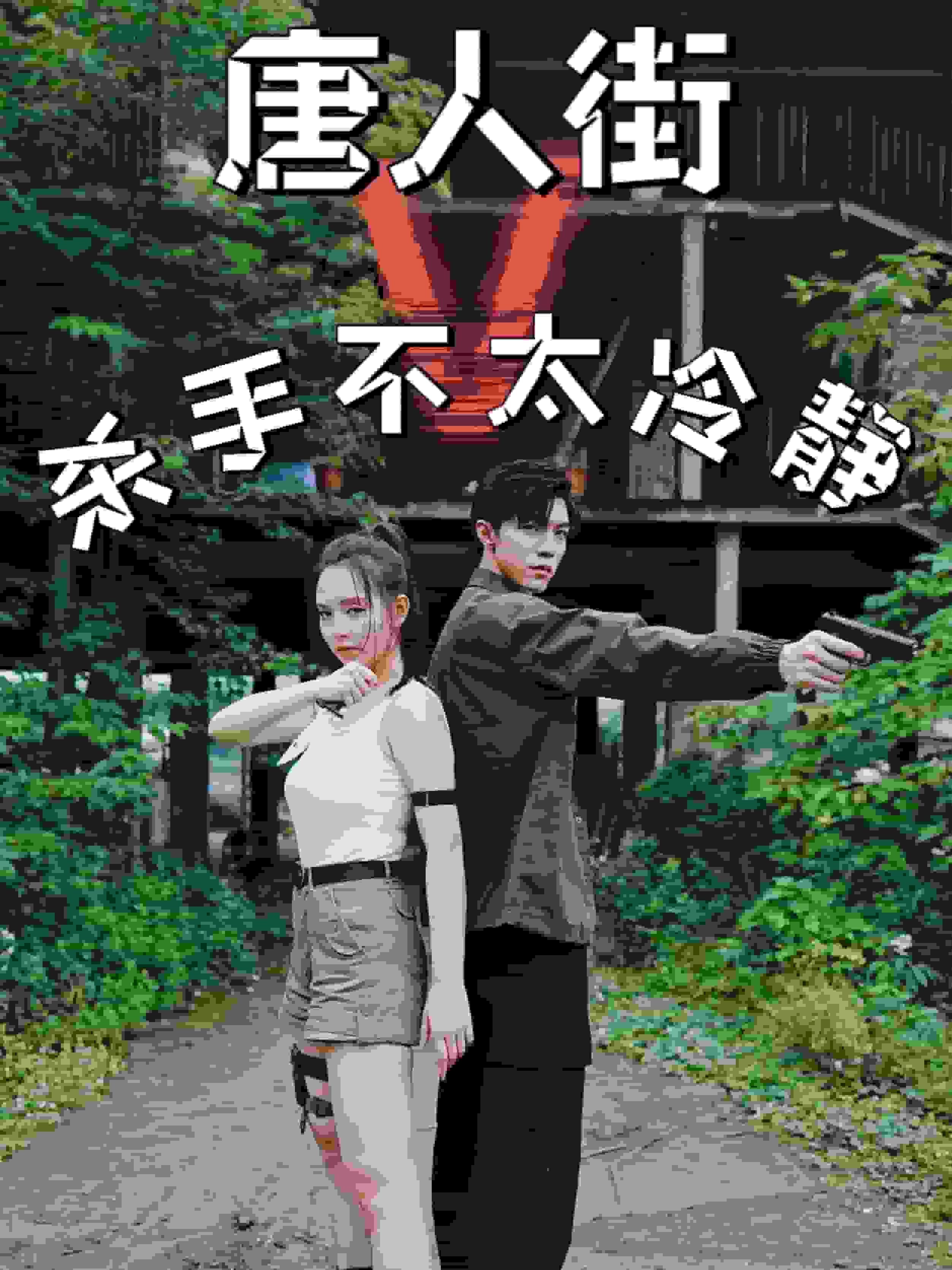 《唐人街杀手不太冷静》完整版在线观看