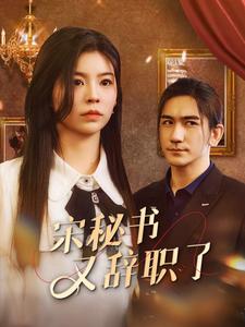 《宋秘书又辞职了》完整版在线观看
