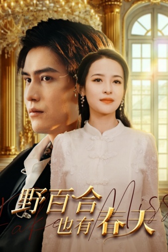 《野百合也有春天短剧》完整版在线观看