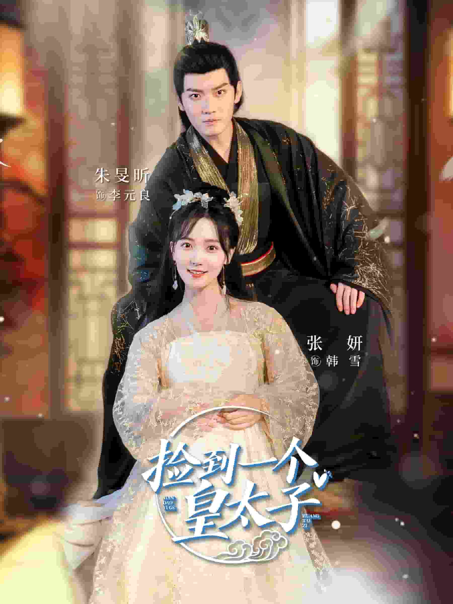 《捡到一个皇太子》完整版在线观看