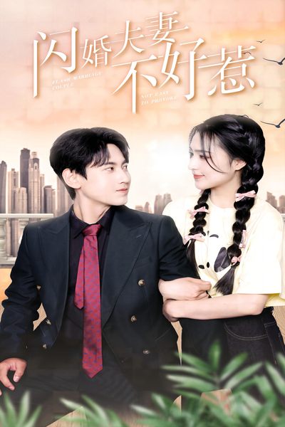 《闪婚夫妻不好惹》完整版在线观看