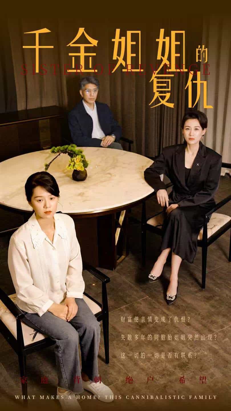 《千金姐姐的复仇》完整版在线观看